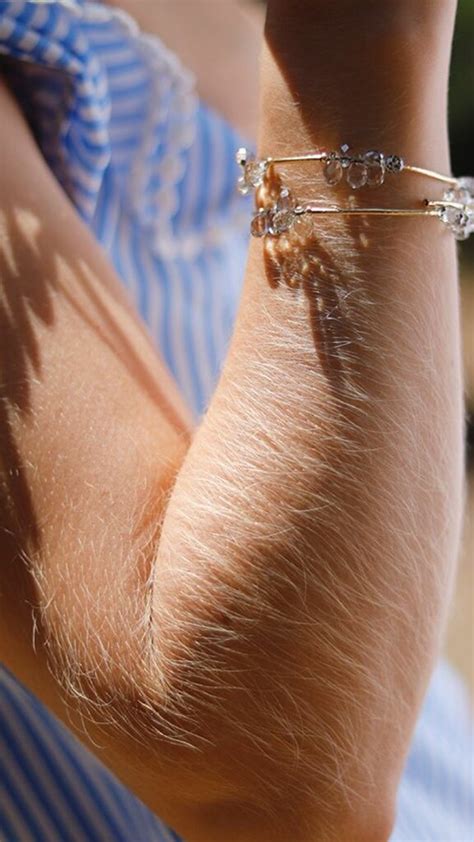 hairy arm porn|Free Hairy Arms Porn Videos